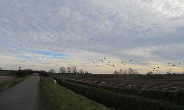 Fietsen met veel wind.